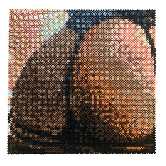 Hama Bead Commission